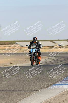 media/Oct-14-2024-Lets Ride (Mon) [[58c2a74f16]]/C Group/240pm (Wheelie Bump)/